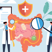 microbiota microbiota